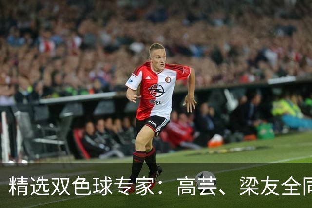 精选双色球专家：高芸、梁友全同中二等279万！