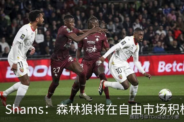 Shams：森林狼将在自由市场积极补强4号位 但他们只能提供底薪